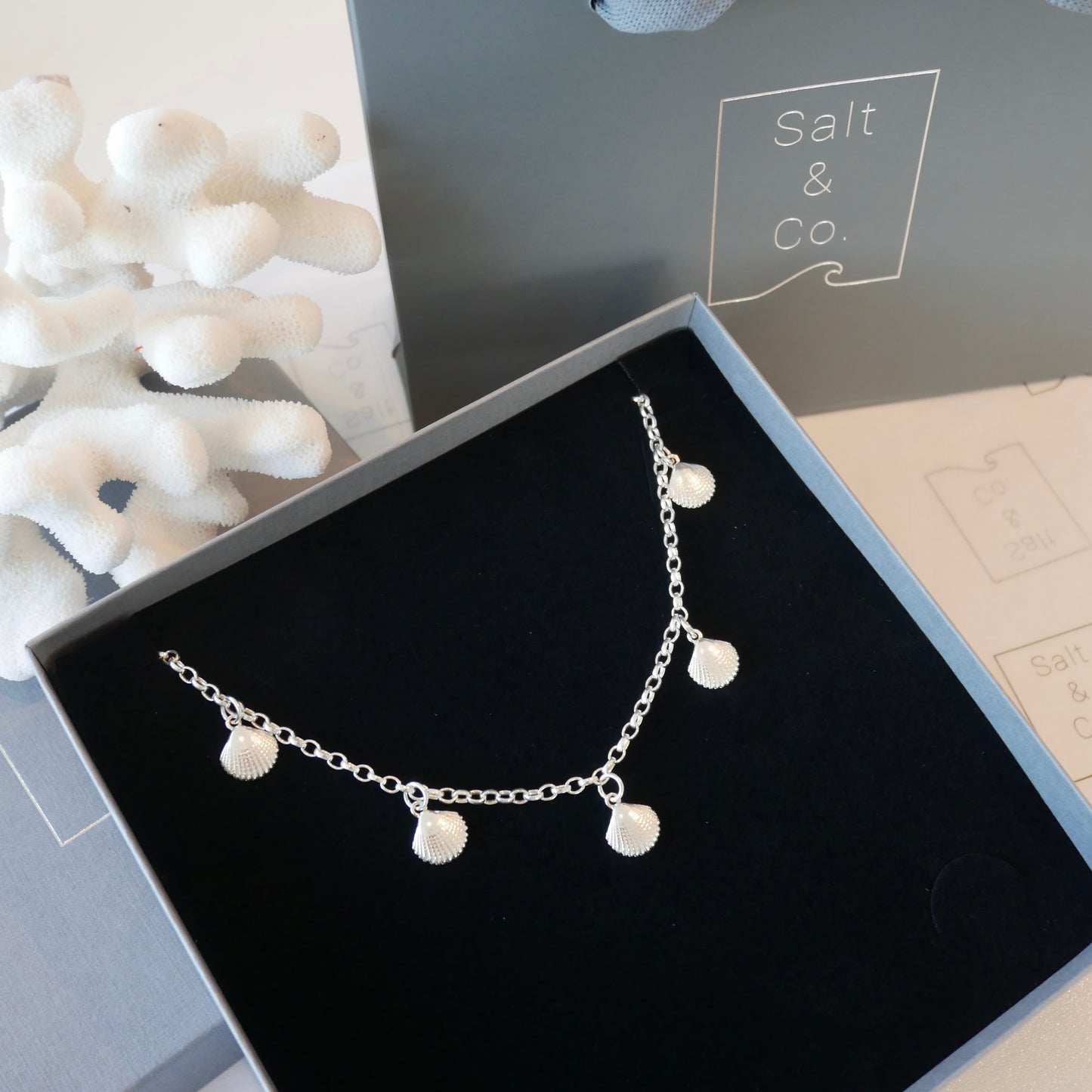 5 Seashell Necklace