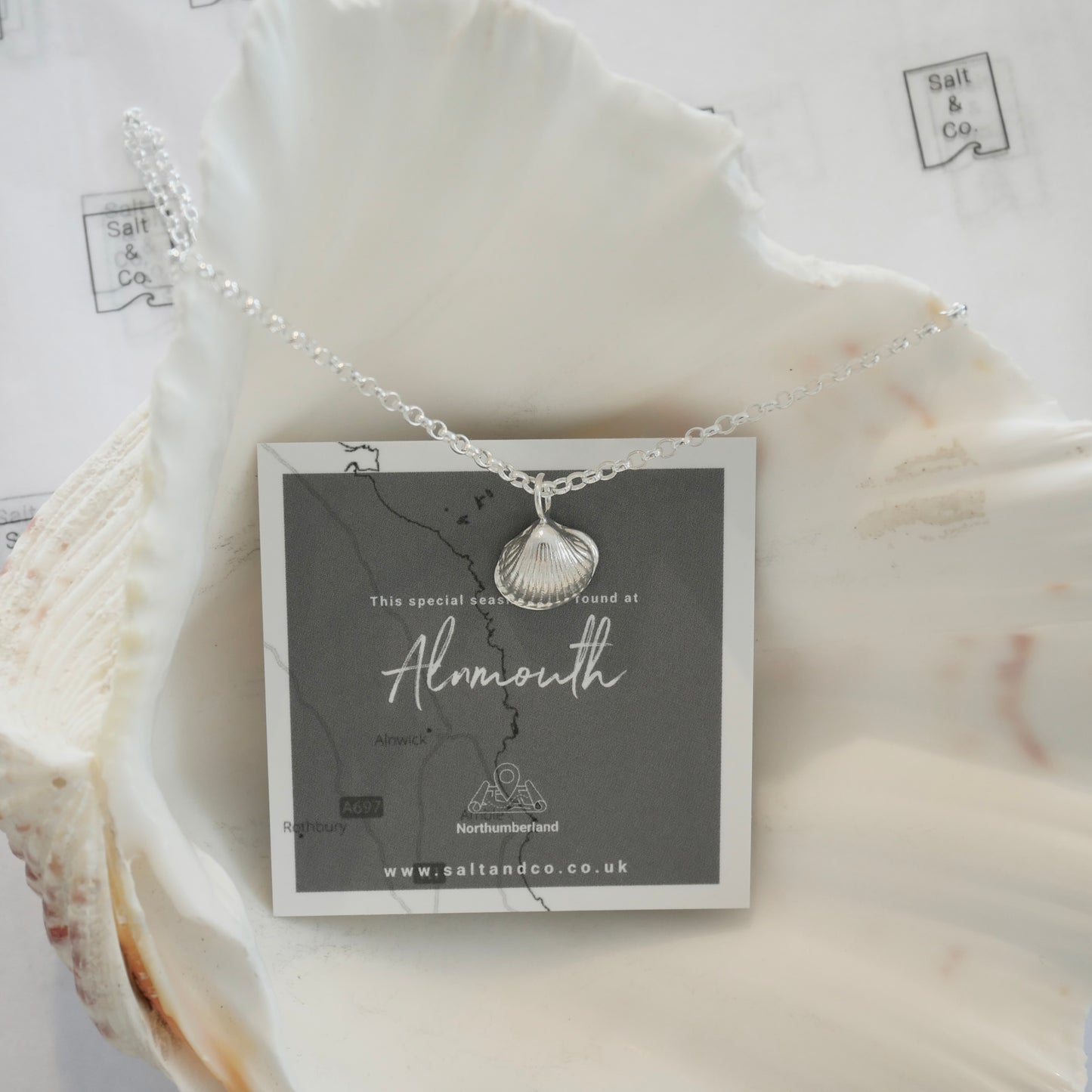 Alnmouth Mini Shell Necklace