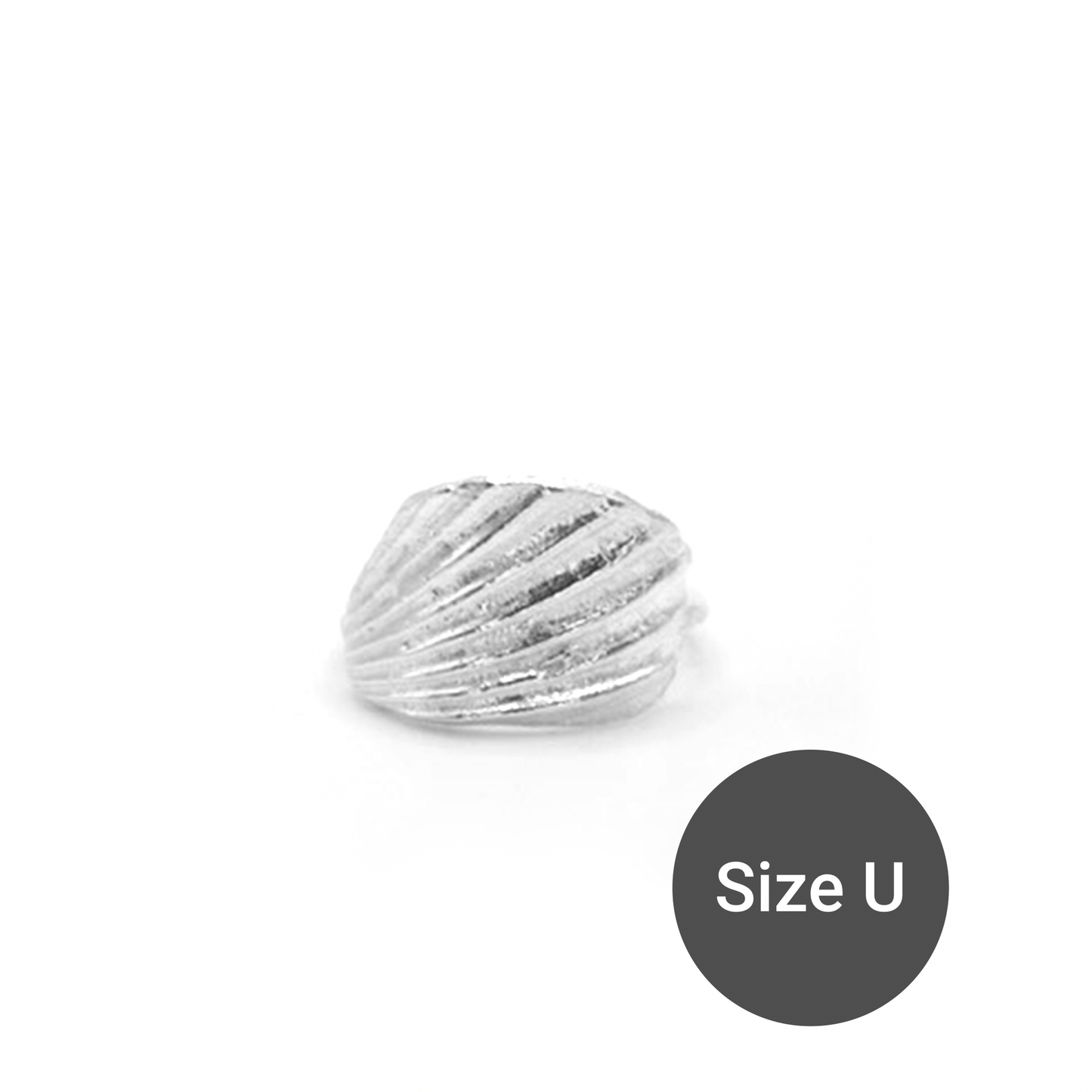 Beadnell Fragment Shell Ring