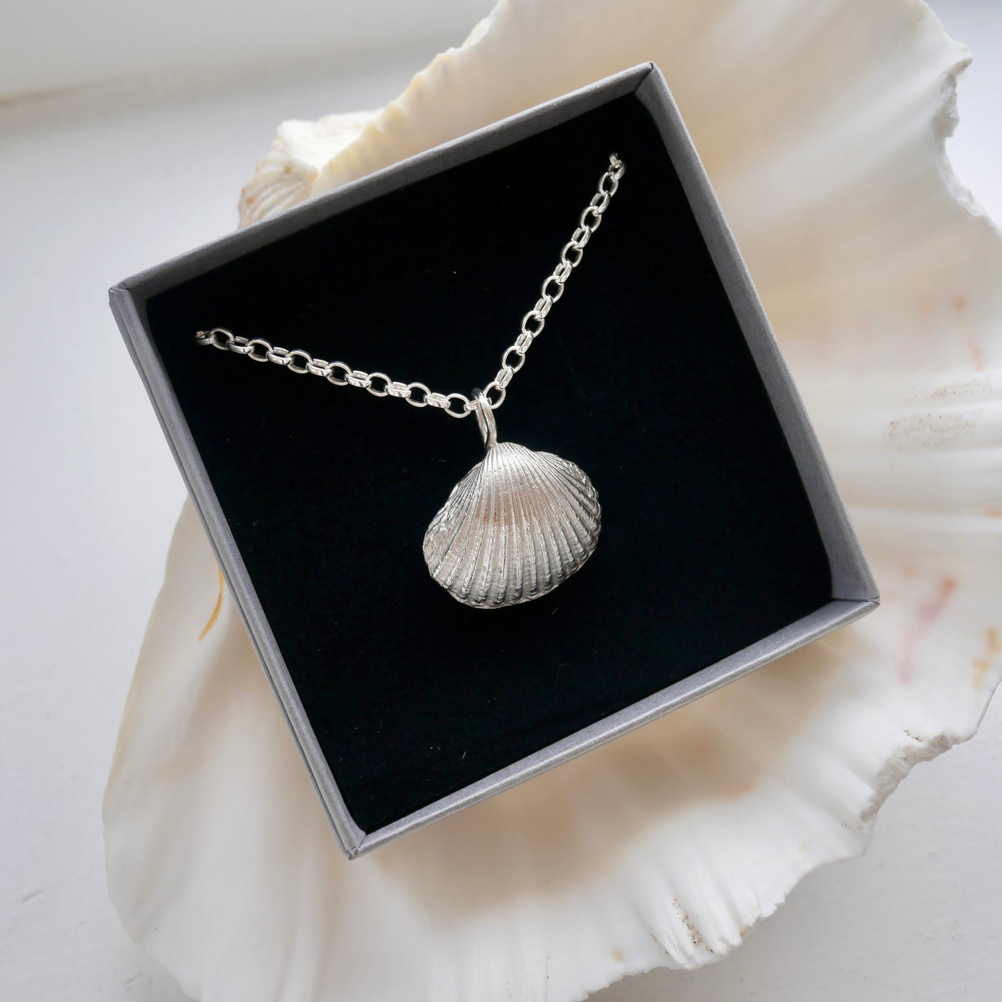 Alnmouth Maxi Shell Necklace - saltandco