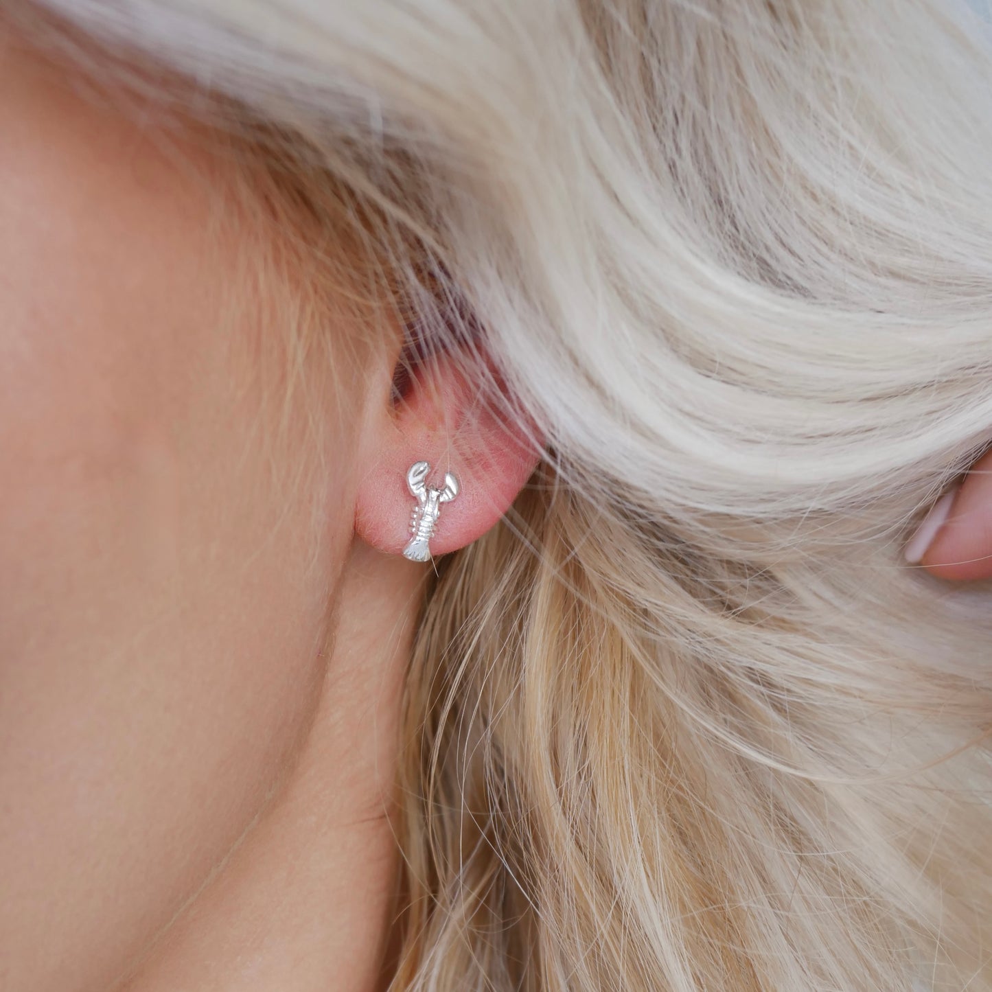 Lobster Stud Earrings
