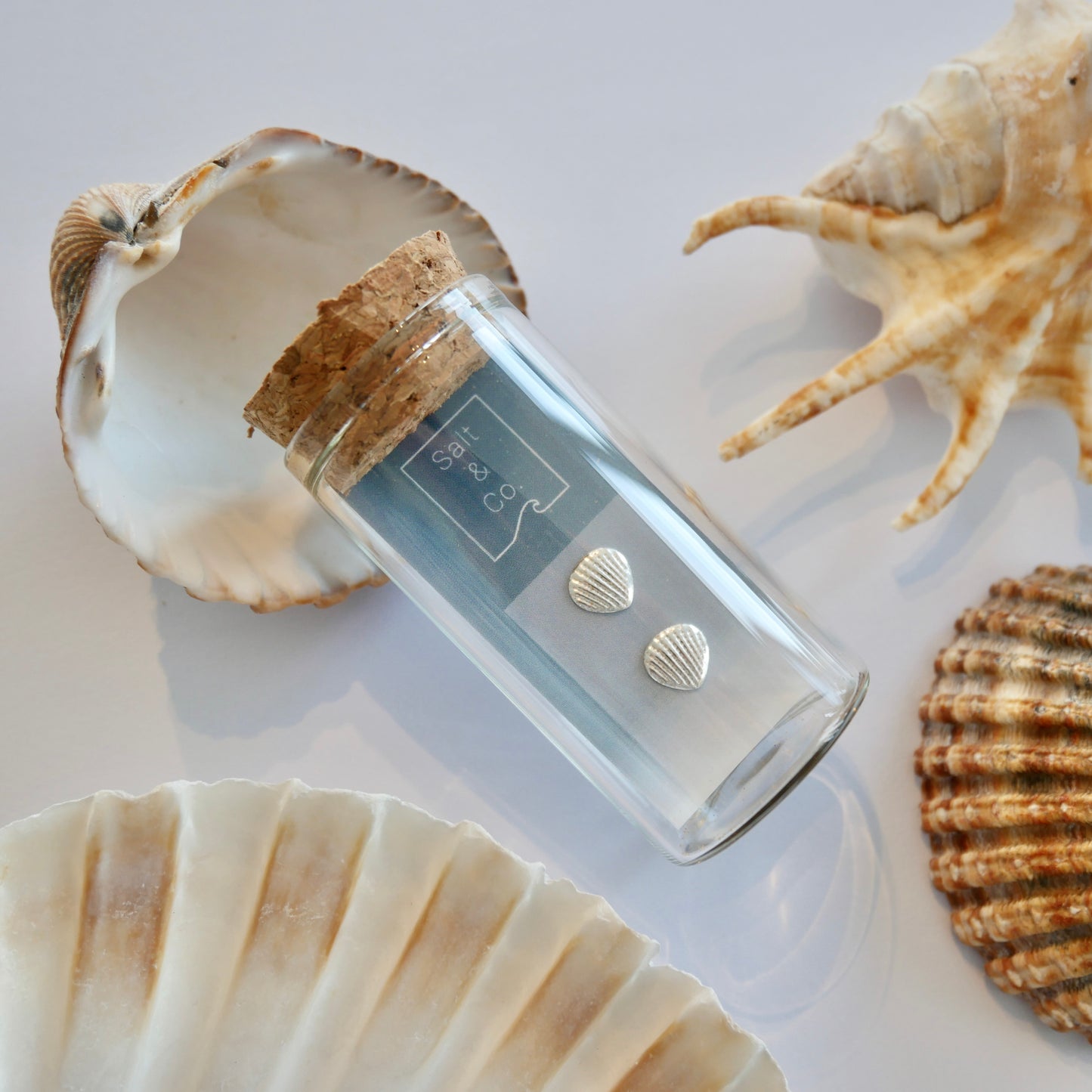 Shell Fragment Studs