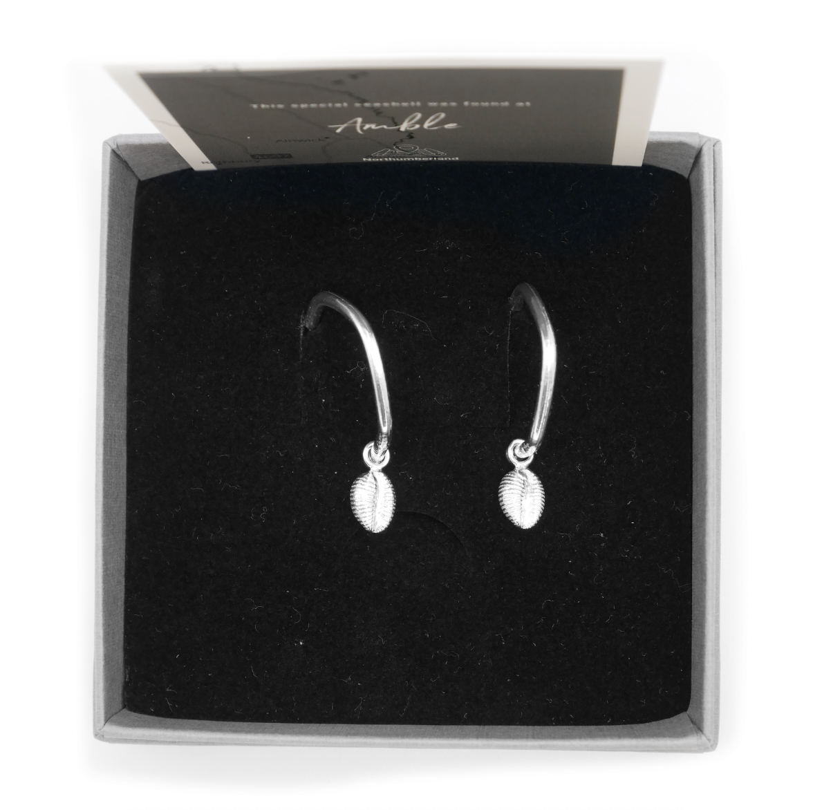 Amble Cowrie Shell Rustic Hoops