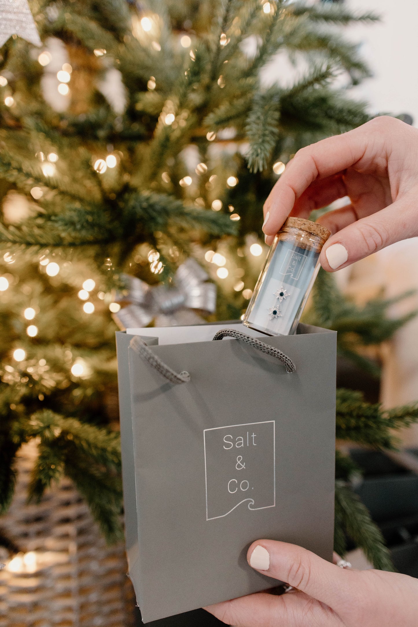 Small Salt & Co. Gift Bag