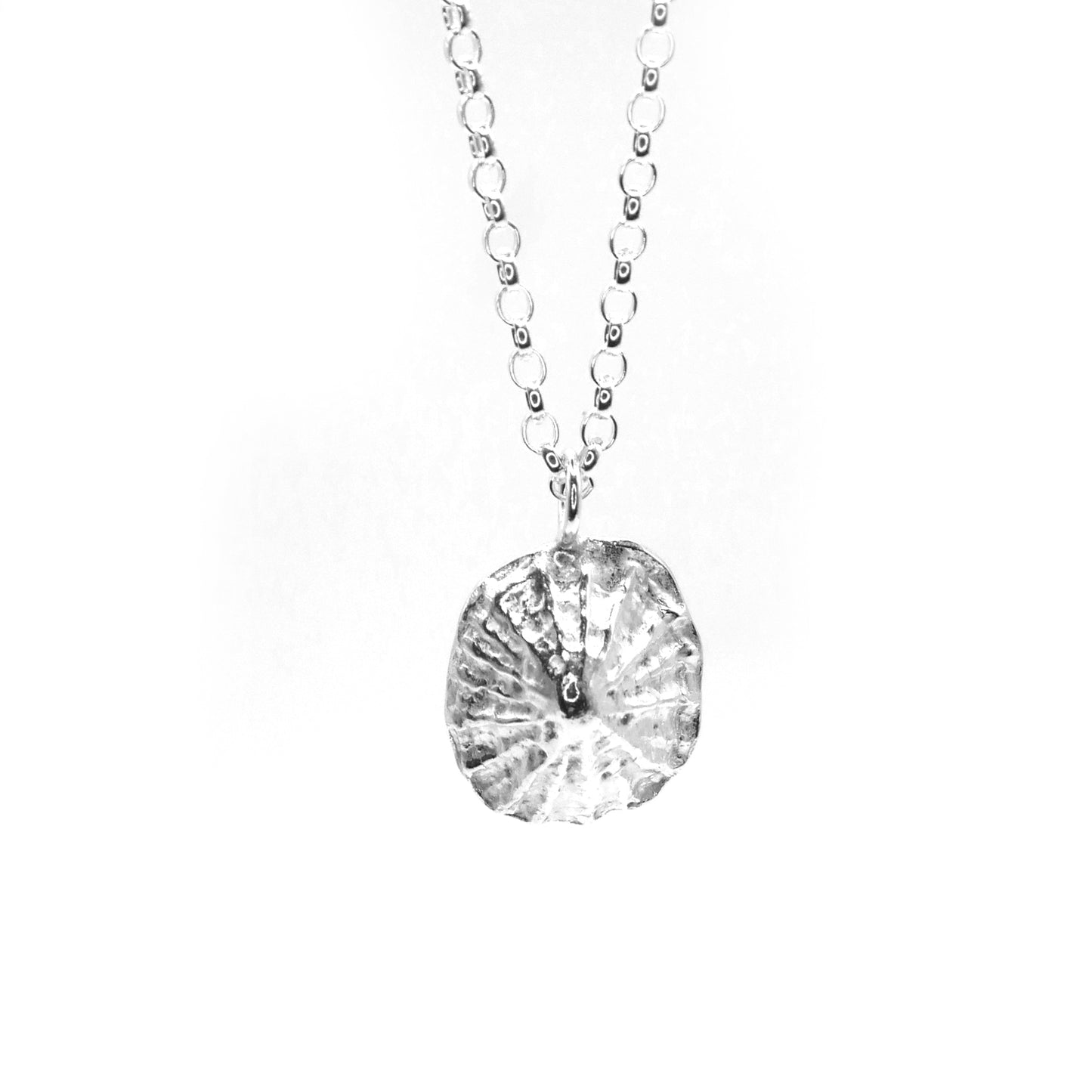 Warkworth Maxi Limpet Necklace - saltandco