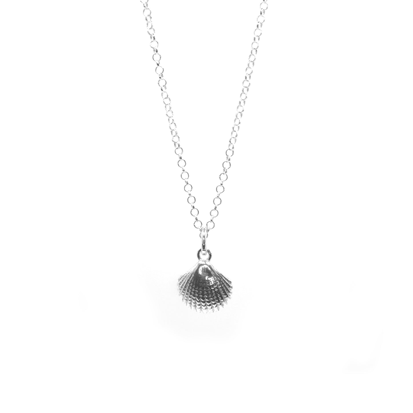 Scallop Necklace