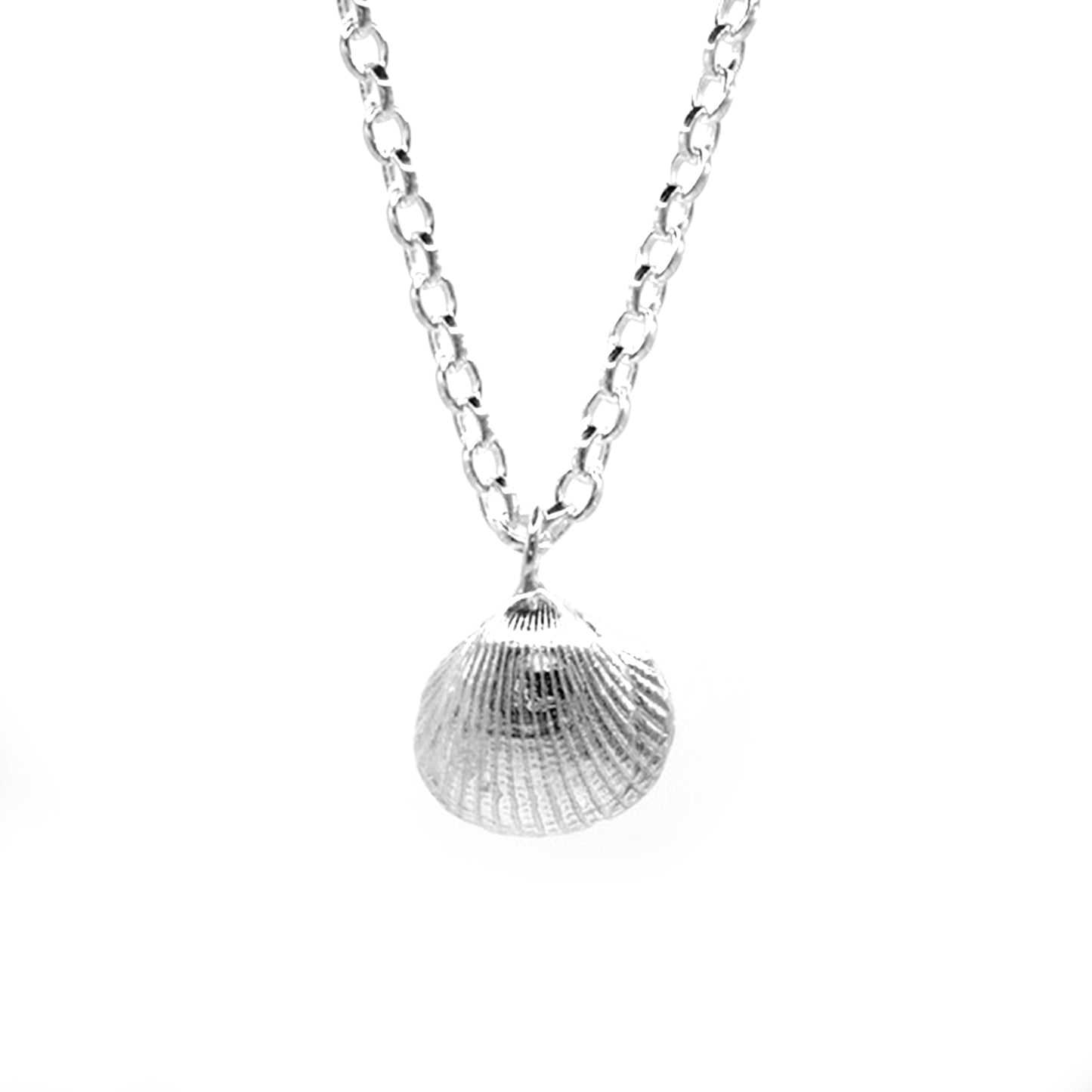 Bamburgh Maxi Shell Necklace
