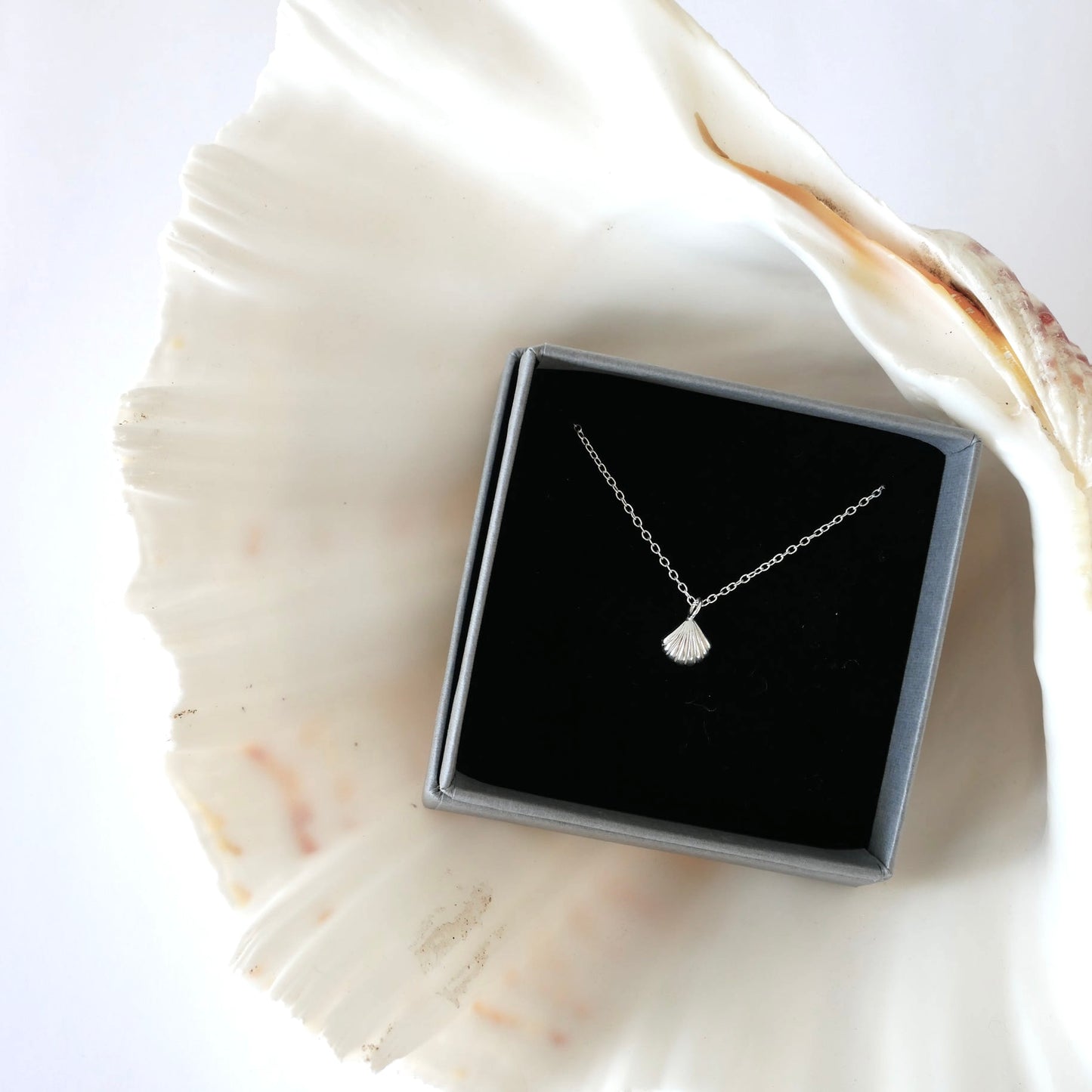 Mini Shell Necklace