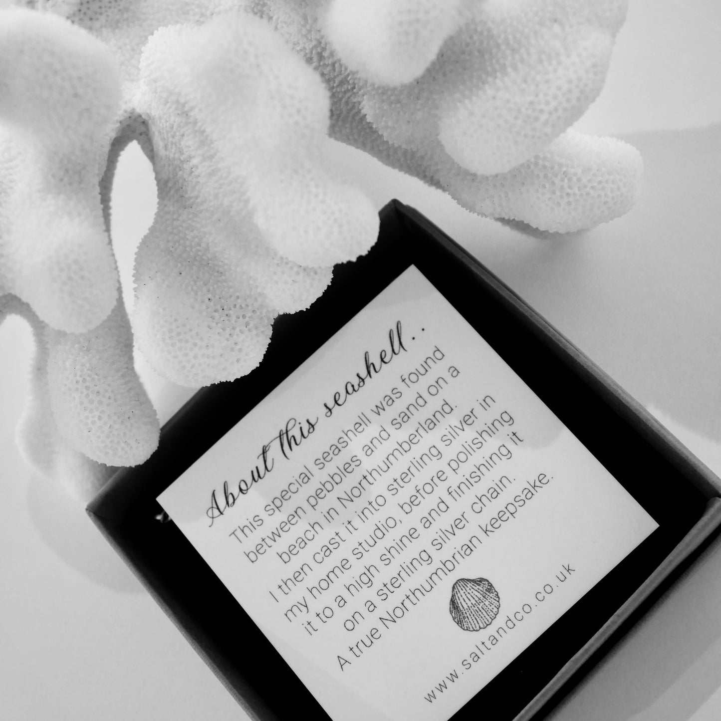 Alnmouth Mini Shell Bracelet