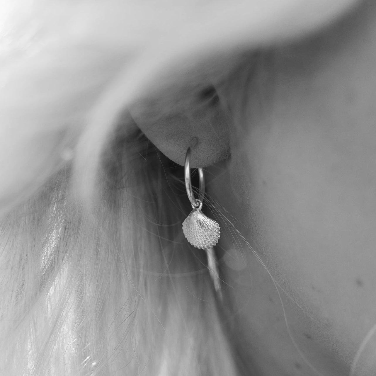 Seashell Stud Hoops - saltandco