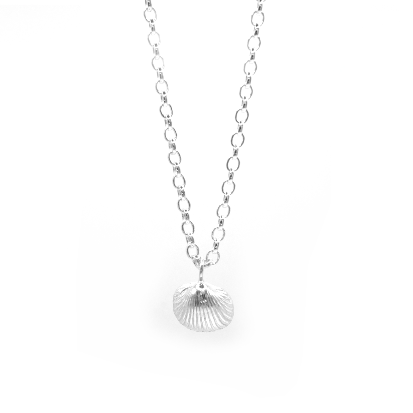 Alnmouth Midi Shell Necklace
