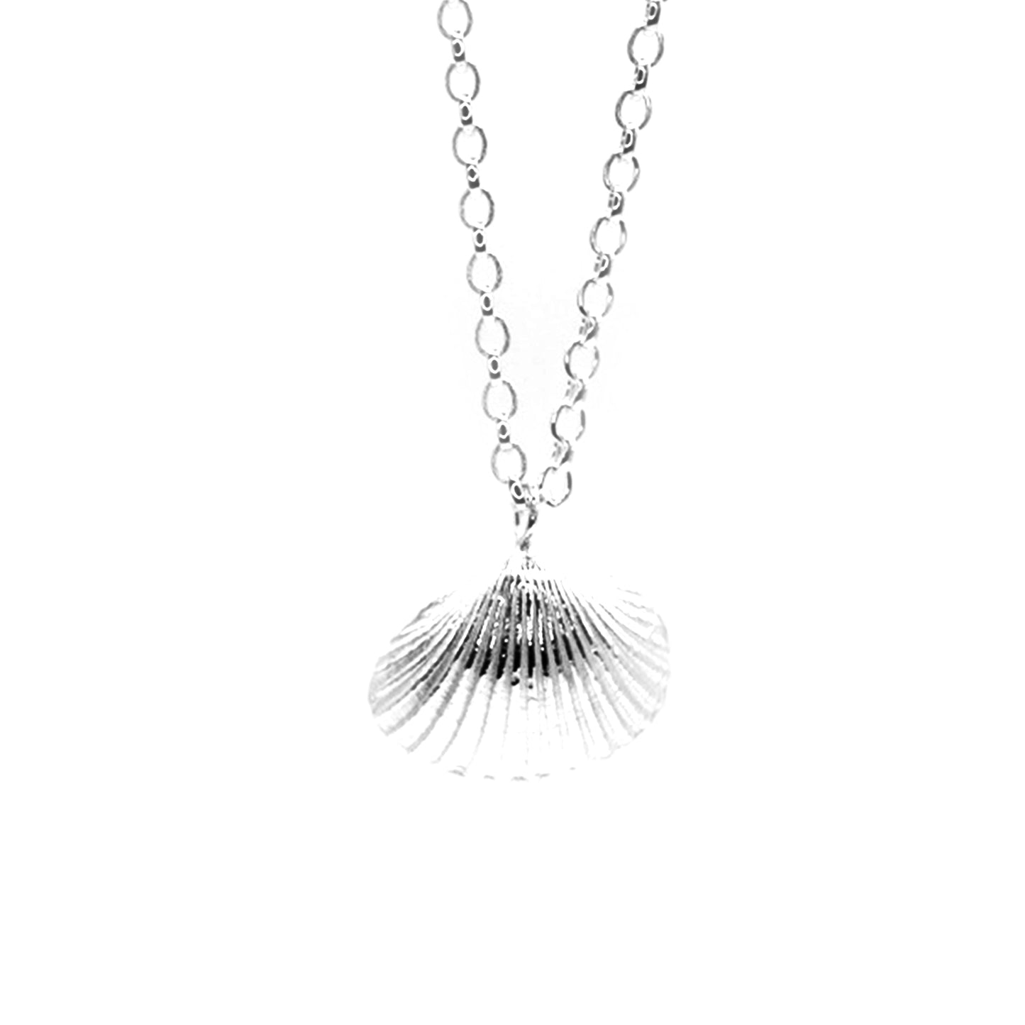 Alnmouth Maxi Shell Necklace