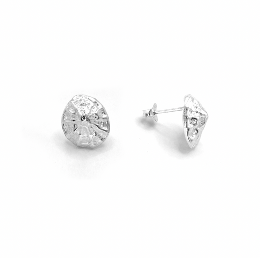 Cresswell Limpet Stud Earrings