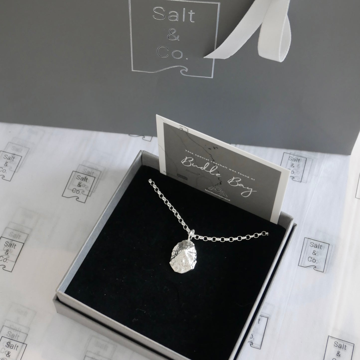 Budle Bay Limpet Necklace