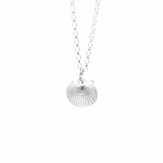 Druridge Bay Shell Necklace