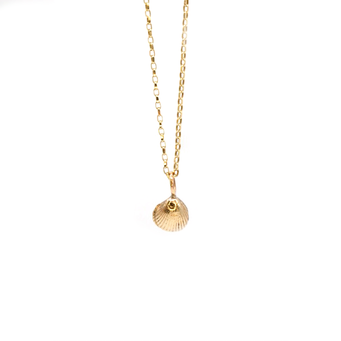 Amble Mini Shell Necklace, Gold