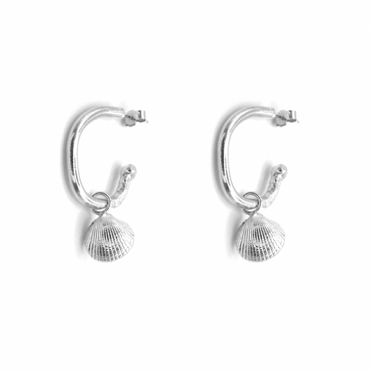 Bamburgh Mini Shell Chunky Hoops