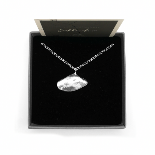 Cocklawburn Shell Necklace