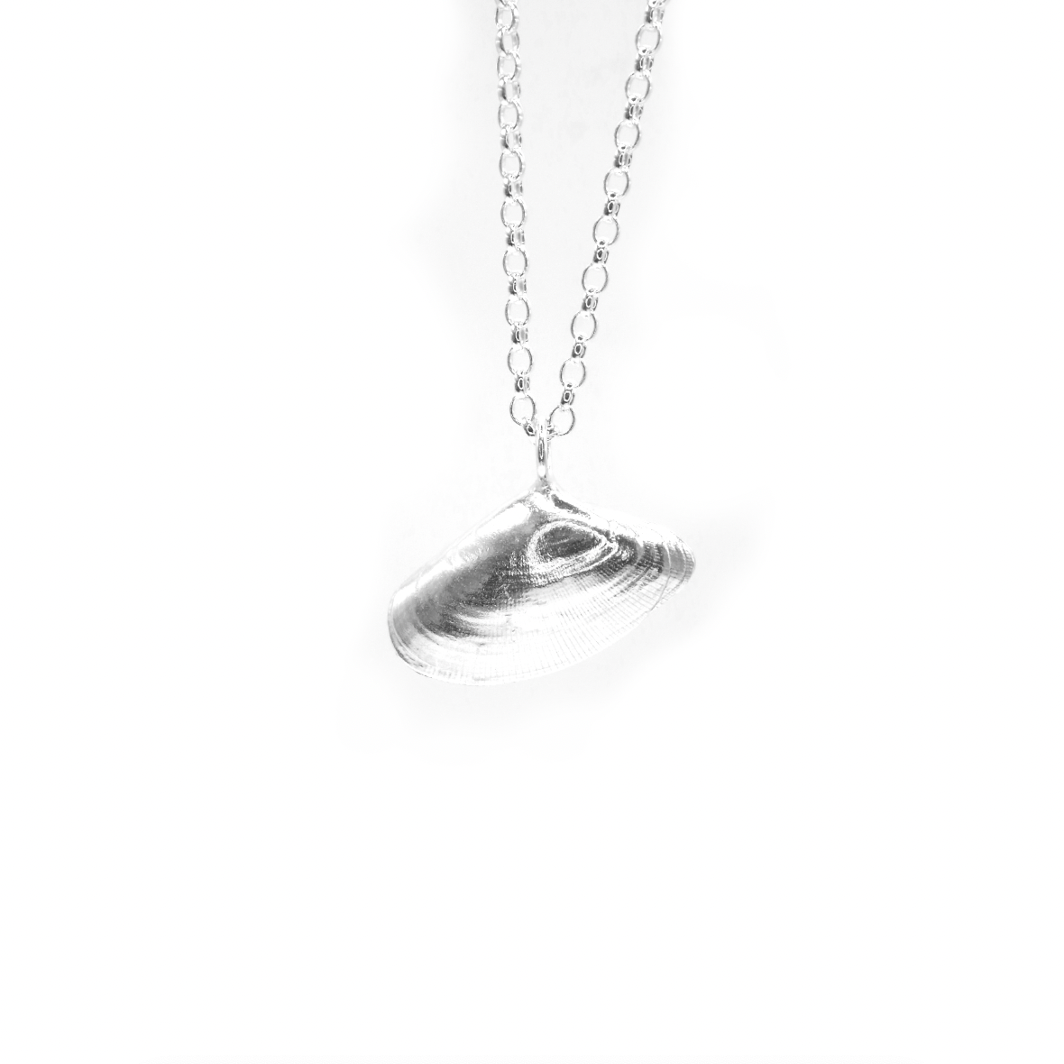 Cocklawburn Shell Necklace