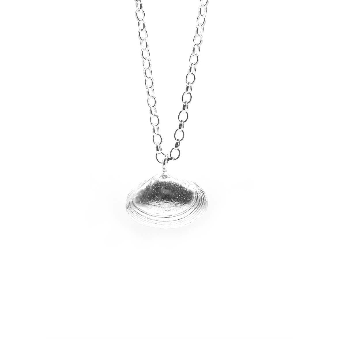 Warkworth Maxi Shell Necklace