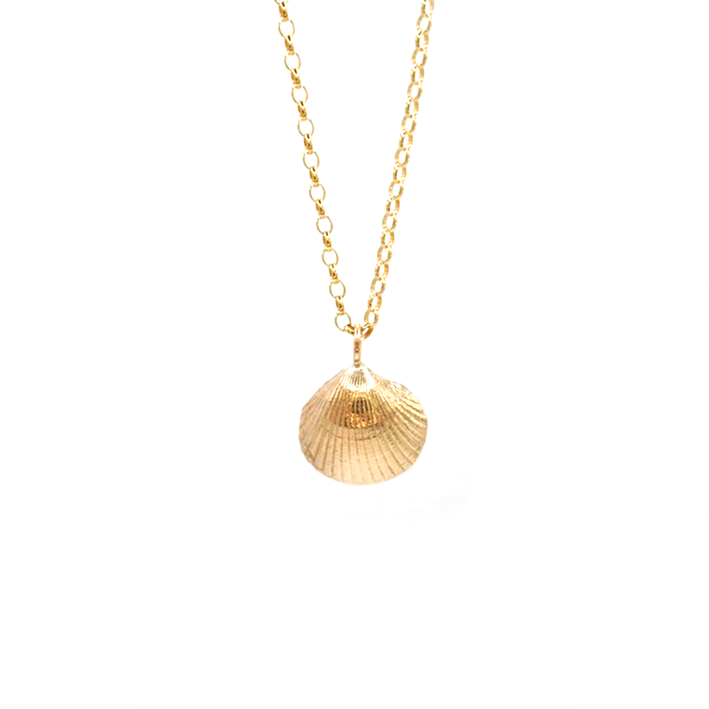 Low Newton Shell Necklace