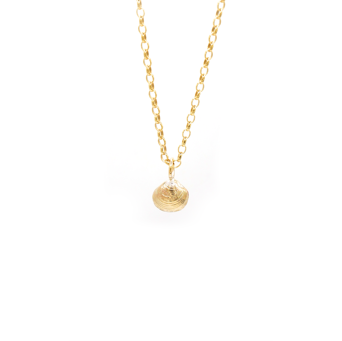 Seahouses Dinky Shell Necklace, 9ct Gold