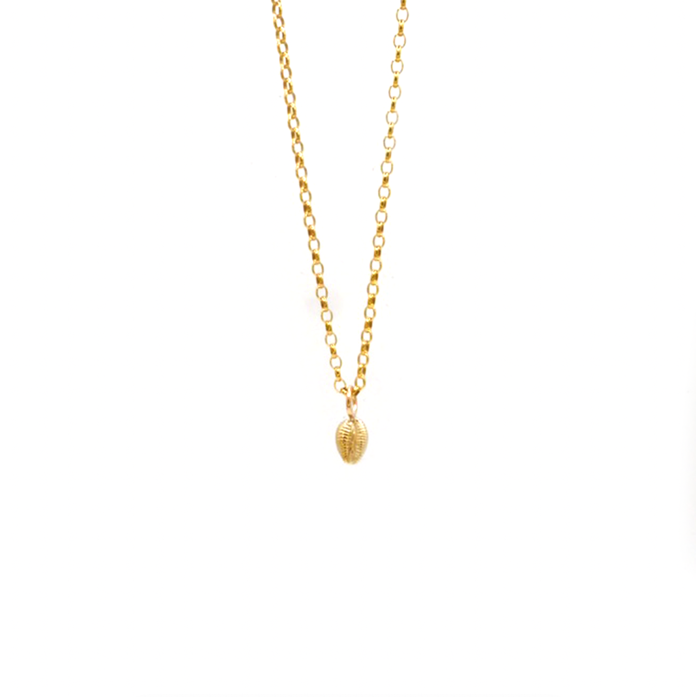 Amble Cowrie Shell Necklace, 9ct Gold