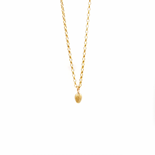 Amble Cowrie Shell Necklace, 9ct Gold