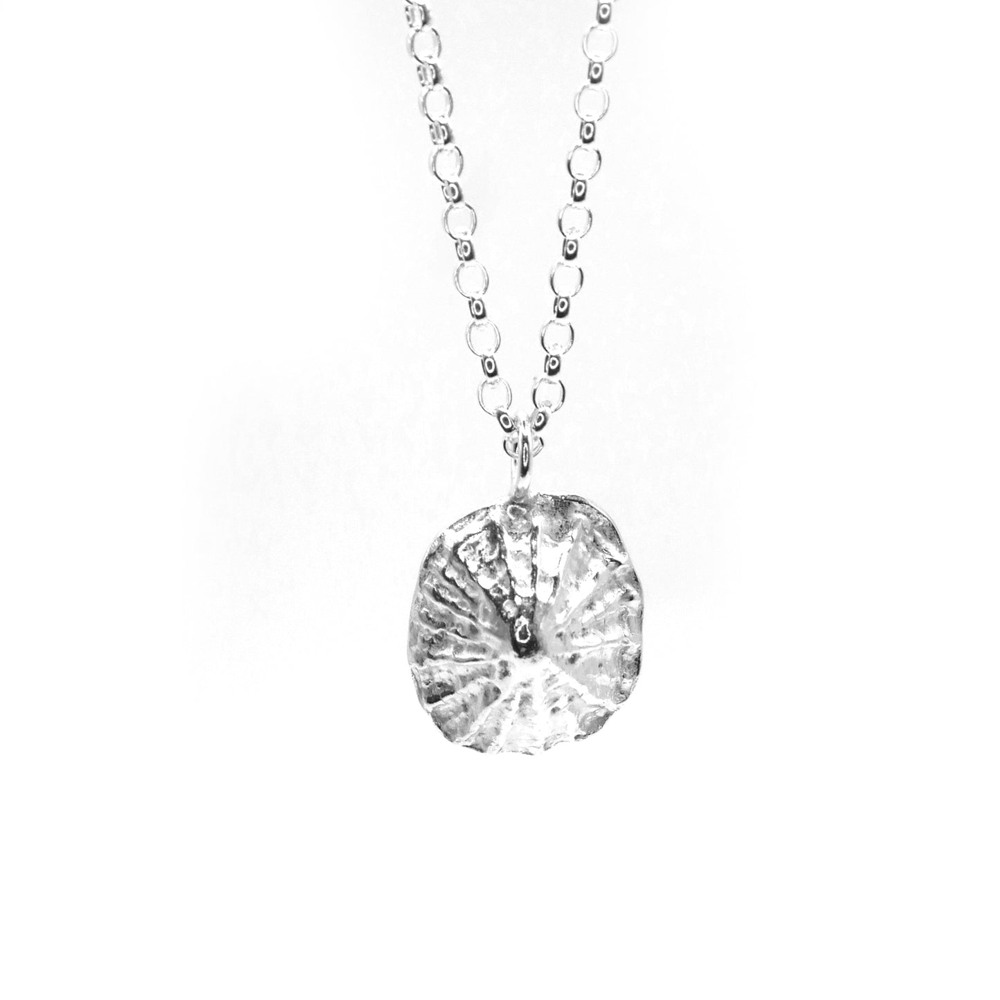 Warkworth Maxi Limpet Necklace