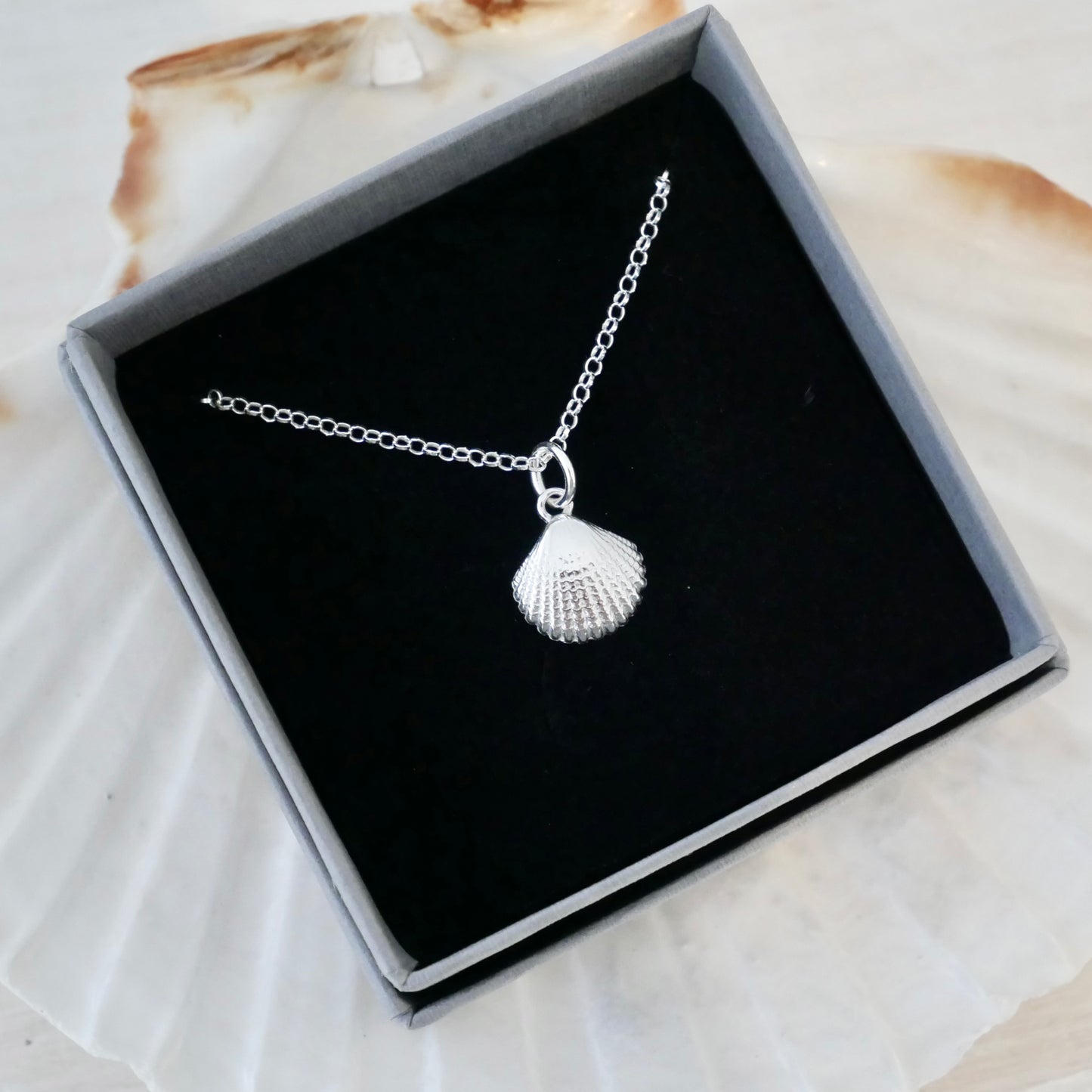 Scallop Necklace