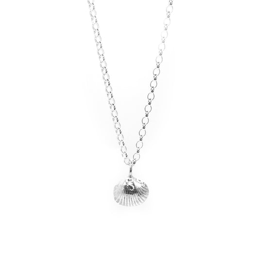 Alnmouth Mini Shell Necklace