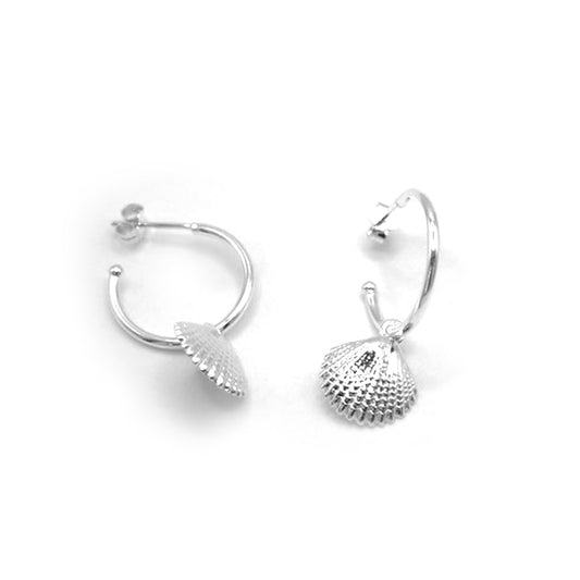 Seashell Stud Hoops