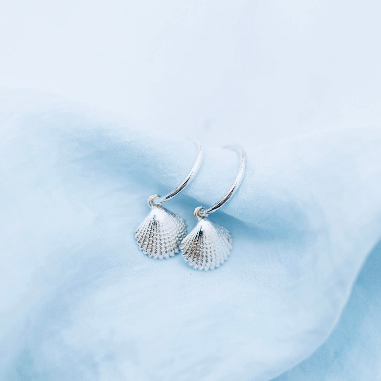Seashell Stud Hoops